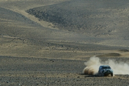 Dakar Rally-Raid Action Scene